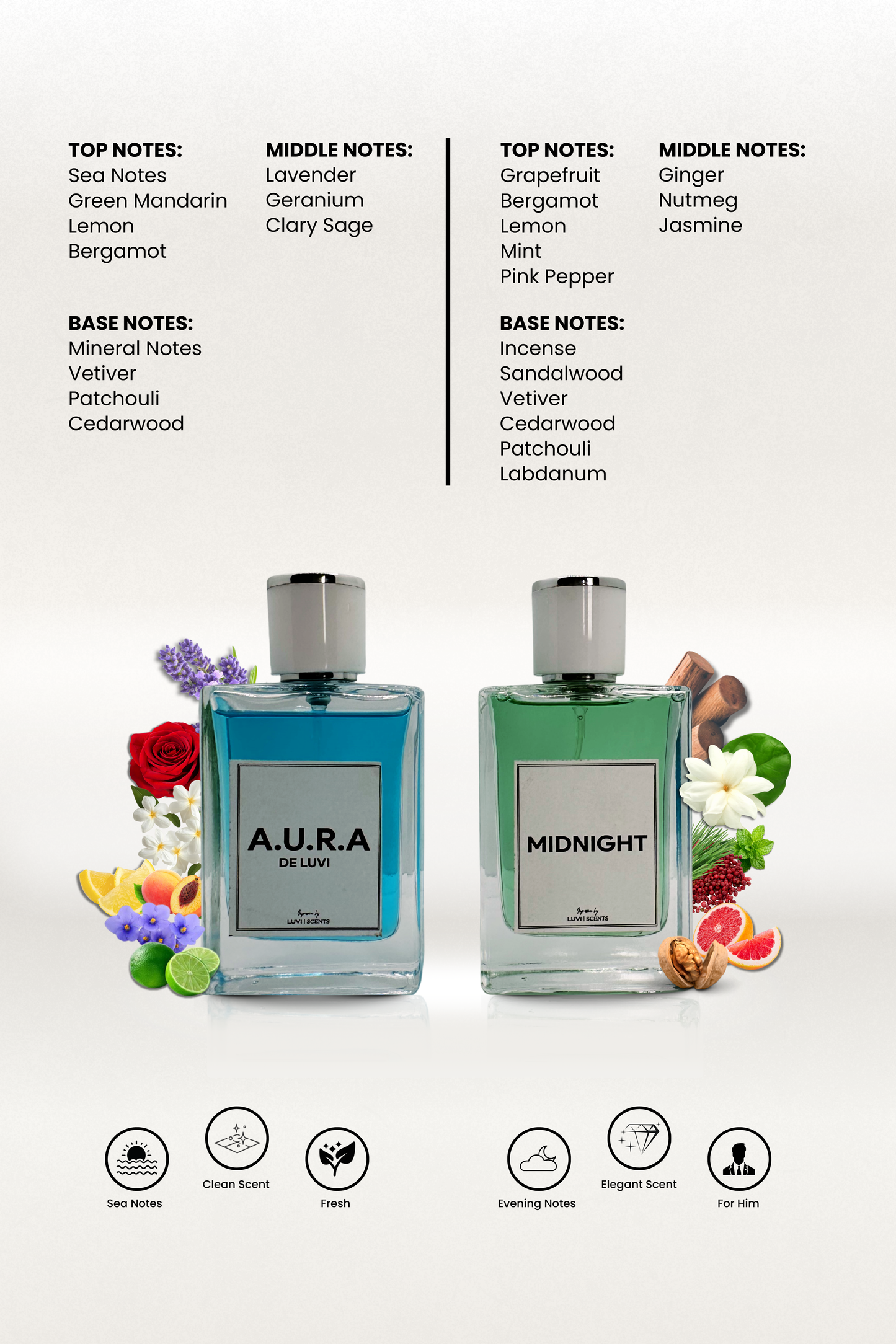 Signature Duo – Aura & Midnight